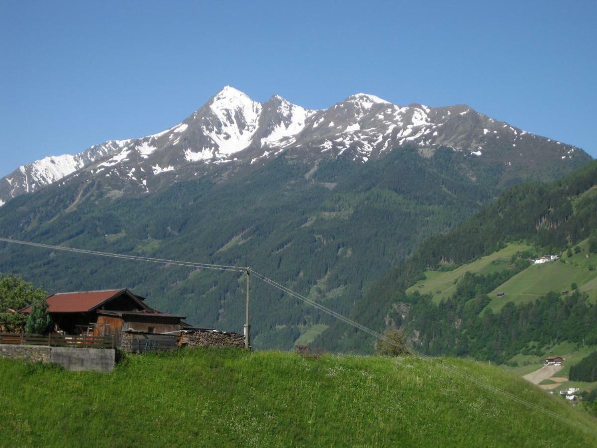 Haus Gamskogl Apartment Neustift im Stubaital Exterior photo