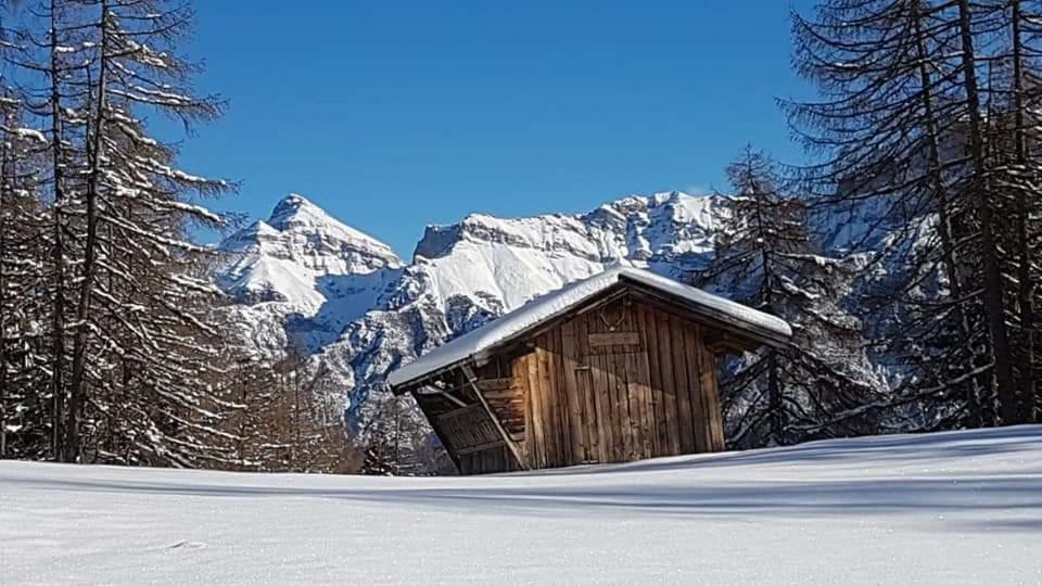 Haus Gamskogl Apartment Neustift im Stubaital Exterior photo